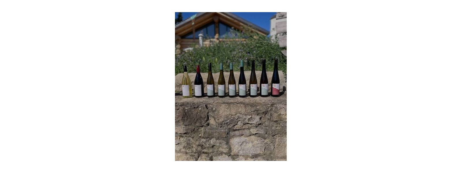 Weingut Seyberth � Biodynamisk naturvin med pr�cision, renhed og terroir