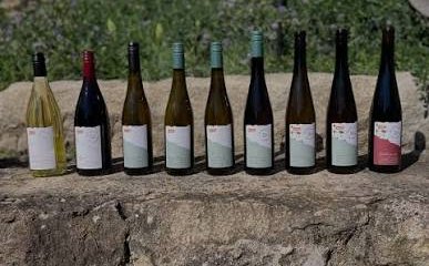 Weingut Seyberth � Biodynamisk naturvin med pr�cision, renhed og terroir
