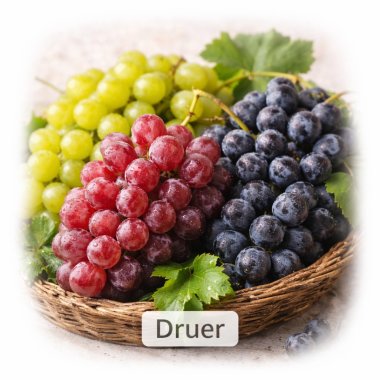 DRUER