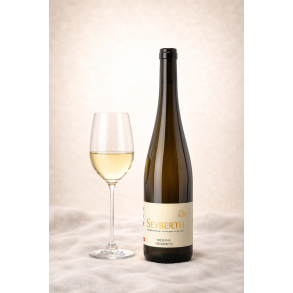 Riesling Heerkretz 2018, Weingut Seyberth
