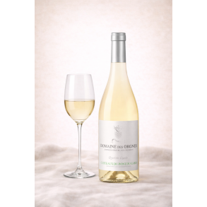 Chardonnay Pont du Gard, Domaine des Orgnes 2024 