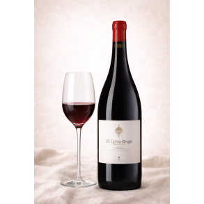 El Cerro Brujo Garnacia 2021, Gredos Mountain  - single wineyard,  Aurelia Garcia