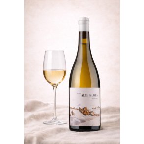 Chardonnay Wonsheim Alte Reben 2024 Weingut Steitz, Rheinhessen 