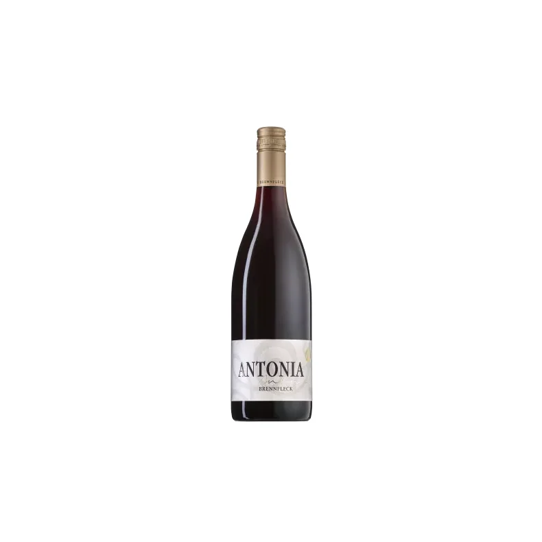ANTONIA Sptburgunder 2021 Trocken, Weingut Brennfleck